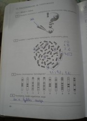 Biologija 10 klasei 66 puslapis nemokami pratybų atsakymai
