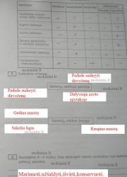 Biologija 10 klasei 23 puslapis nemokami pratybų atsakymai