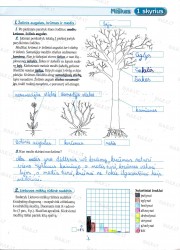 Geografija 6 klasei 2 dalis 1 puslapis nemokami pratybų atsakymai