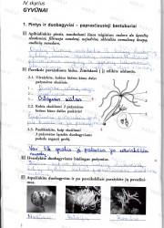 Biologija 7 klasei 2 dalis 2 puslapis nemokami pratybų atsakymai