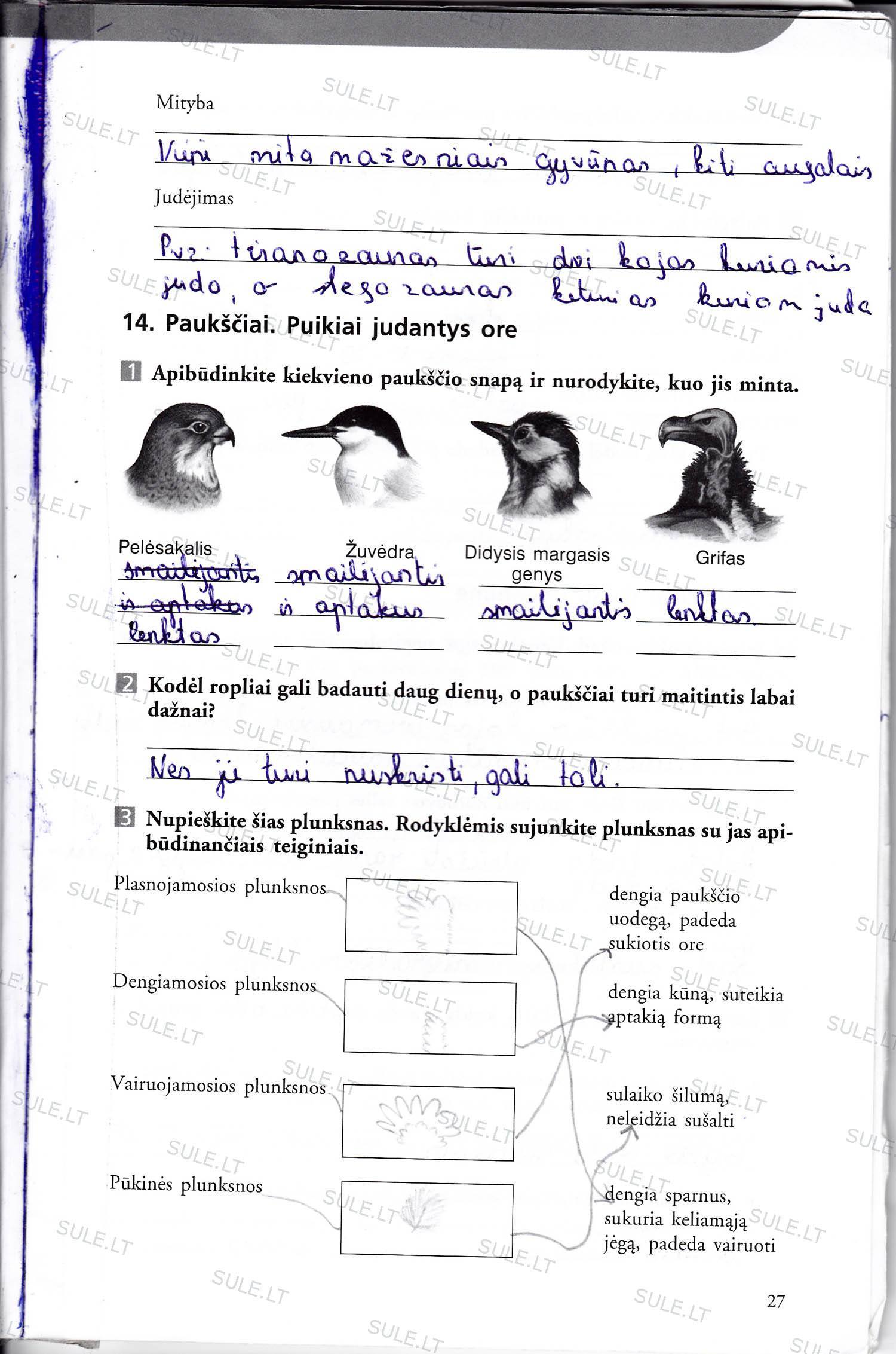 Biologijos Pratybų Atsakymai 7 Klasei 2 Dalis Nemokamai