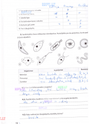 Biologija 9 klasei 1 dalis 16 puslapis nemokami pratybų atsakymai