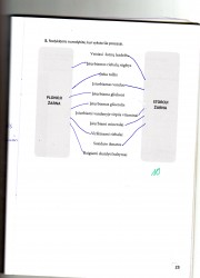 Biologija 9 klasei 2 dalis 23 puslapis nemokami pratybų atsakymai