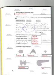 Biologija 9 klasei 2 dalis 32 puslapis nemokami pratybų atsakymai