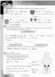 Bios 7 - 2 dalis  12 puslapis nemokami pratybų atsakymai