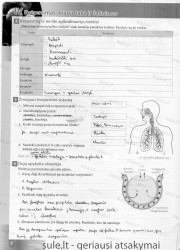 Bios 7 - 2 dalis  2 puslapis nemokami pratybų atsakymai