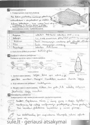 Bios 7 - 2 dalis  25 puslapis nemokami pratybų atsakymai