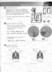 Bios 7 - 2 dalis  3 puslapis nemokami pratybų atsakymai