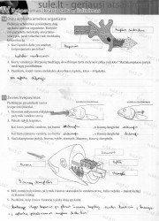 Bios 7 - 2 dalis  4 puslapis nemokami pratybų atsakymai
