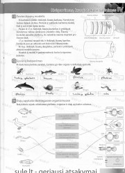 Bios 7 - 2 dalis  5 puslapis nemokami pratybų atsakymai