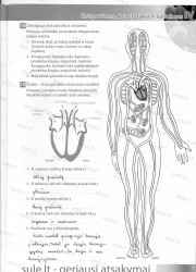 Bios 7 - 2 dalis  7 puslapis nemokami pratybų atsakymai