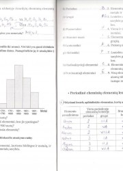 Chemija 8 klasei 2 dalis 10-11 puslapis nemokami pratybų atsakymai