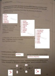Chemija 8 klasei (naujos) 1 dalis 61 puslapis nemokami pratybų atsakymai