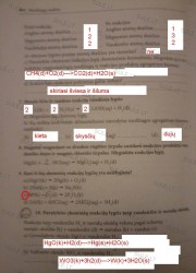 Chemija 8 klasei (naujos) 1 dalis 76 puslapis nemokami pratybų atsakymai