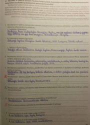 Istorija 10 klasei 31 puslapis nemokami pratybų atsakymai