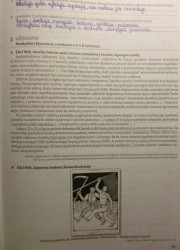 Istorija 10 klasei 33 puslapis nemokami pratybų atsakymai