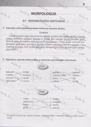 Lietuviu kalba 6 klasei 2 dalis 3 puslapis nemokami pratybų atsakymai