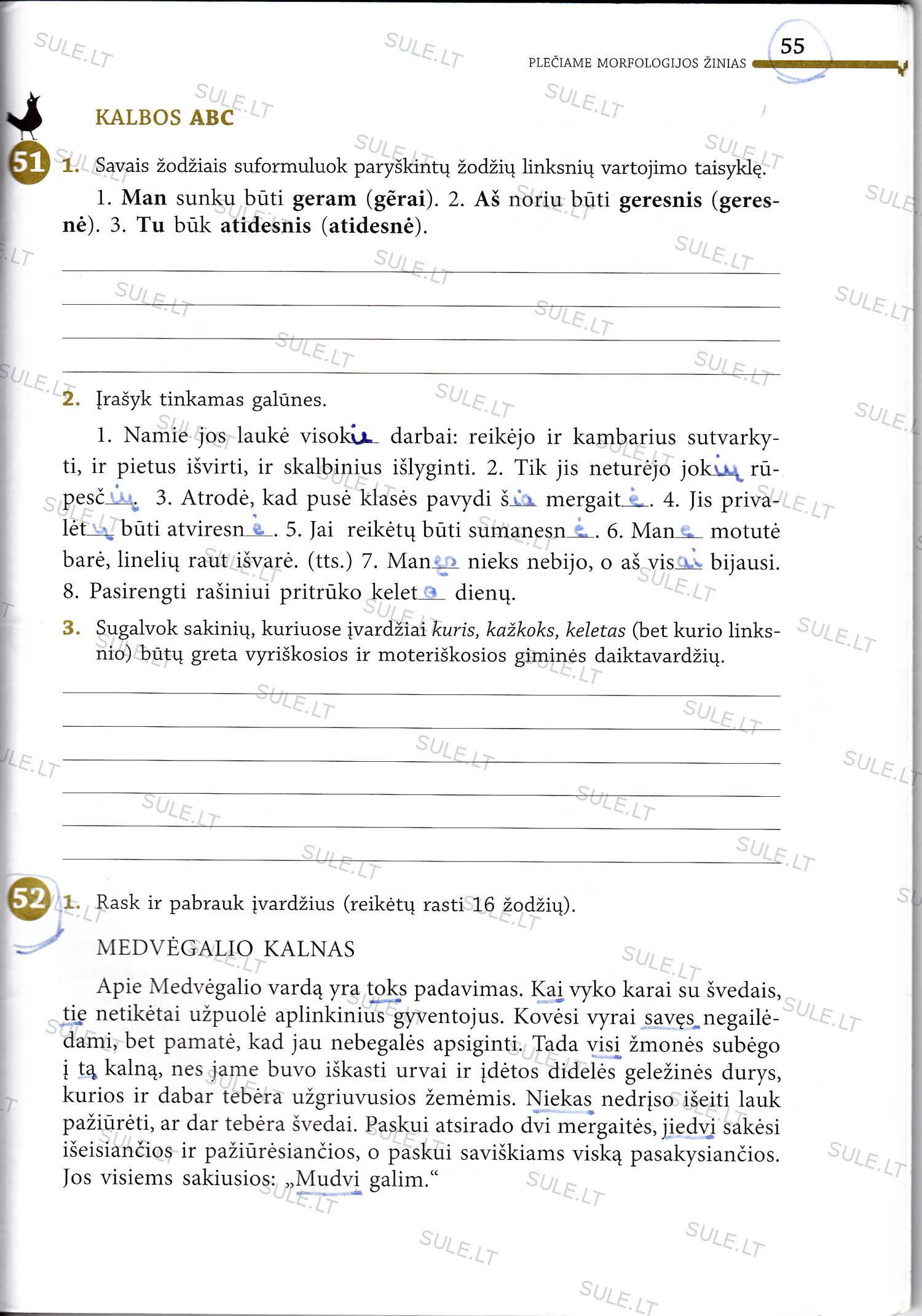 Lietuvių Kalbos Pratybų Atsakymai 7 Klasei 1 Dalis - Lietuviuzodynas.lt