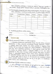 Lietuviu kalba 7 klasei 1 dalis 56 puslapis nemokami pratybų atsakymai