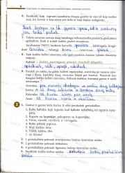 Lietuviu kalba 7 klasei 1 dalis 6 puslapis nemokami pratybų atsakymai
