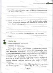 Lietuviu kalba 7 klasei 2 dalis 17 puslapis nemokami pratybų atsakymai