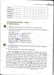 Lietuviu kalba 7 klasei 2 dalis 27 puslapis nemokami pratybų atsakymai