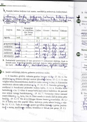 Lietuviu kalba 7 klasei 2 dalis 42 puslapis nemokami pratybų atsakymai