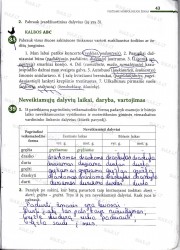 Lietuviu kalba 7 klasei 2 dalis 43 puslapis nemokami pratybų atsakymai