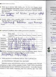 Lietuviu kalba 7 klasei 2 dalis 46 puslapis nemokami pratybų atsakymai