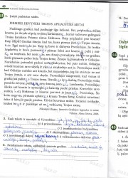 Lietuviu kalba 7 klasei 2 dalis 48 puslapis nemokami pratybų atsakymai