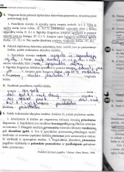 Lietuviu kalba 7 klasei 2 dalis 50 puslapis nemokami pratybų atsakymai