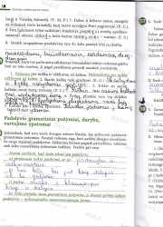 Lietuviu kalba 7 klasei 2 dalis 58 puslapis nemokami pratybų atsakymai