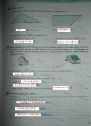 Matematika SOK 7 klasei 1 dalis 15 puslapis nemokami pratybų atsakymai