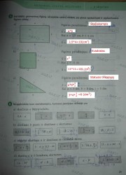 Matematika SOK 7 klasei 1 dalis 21 puslapis nemokami pratybų atsakymai