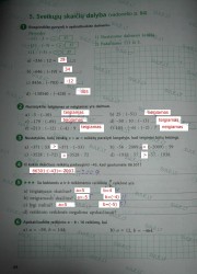 Matematika SOK 7 klasei 1 dalis 44 puslapis nemokami pratybų atsakymai