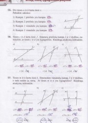 Matematika Tau Plius 7 klasei 2 dalis 20 puslapis nemokami pratybų atsakymai