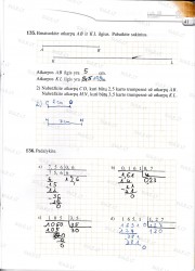 Matematika tau 5 klasei 2 dalis 41 puslapis nemokami pratybų atsakymai