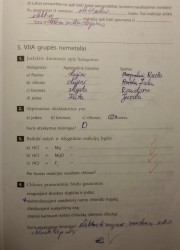 Nemetalu Chemija 10 klasei 11 puslapis nemokami pratybų atsakymai